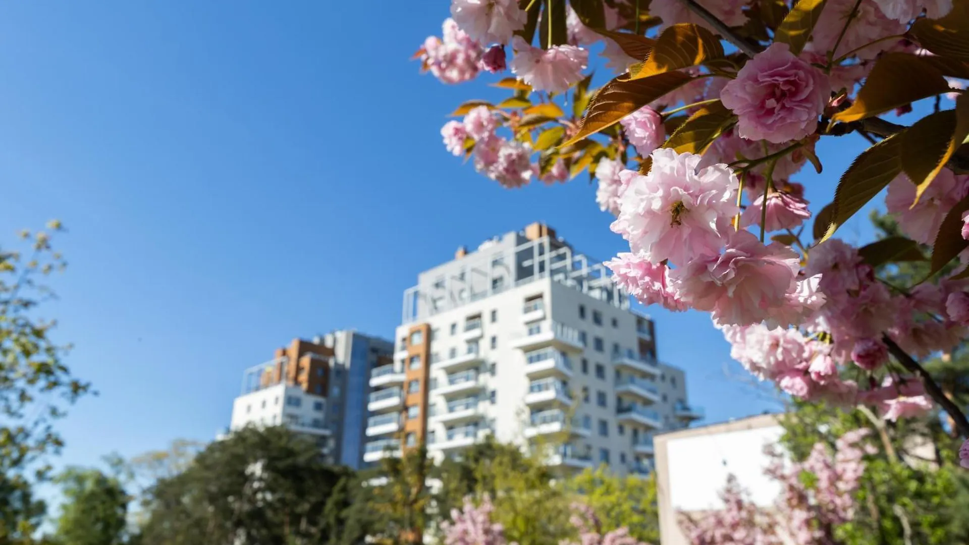 גדנסק Seaside Apartament By Alqueen Apartments